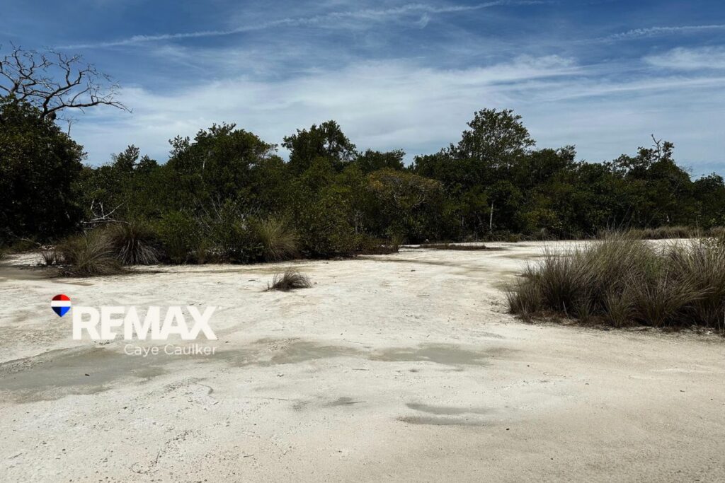 South Point, Caye Caulker Parcel For Sale