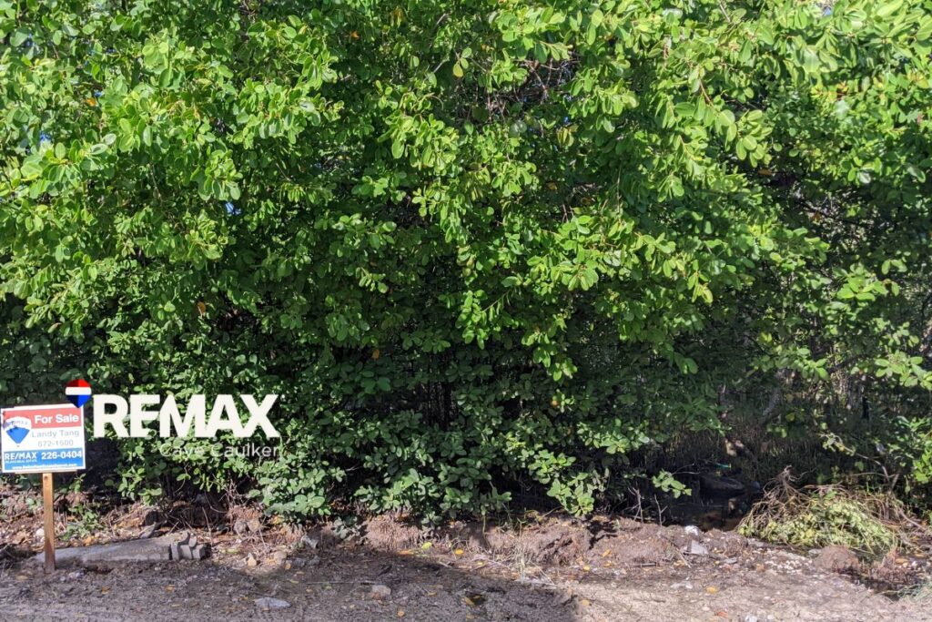 Residential Lot in Caye Caulker for Sale