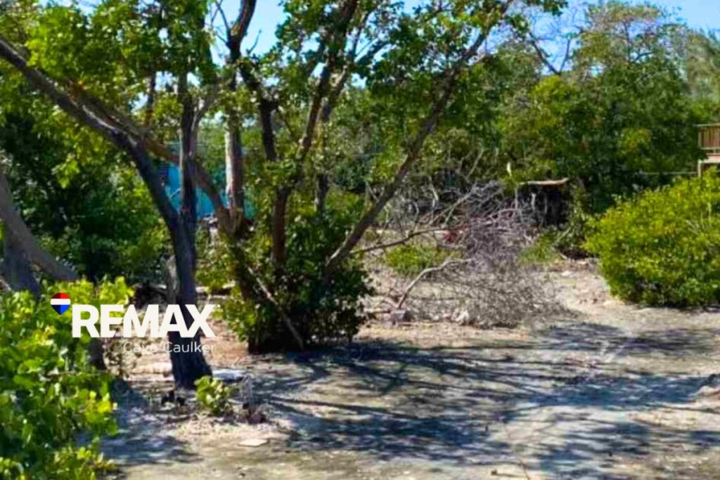 Parcel 1547 on Caye Caulker