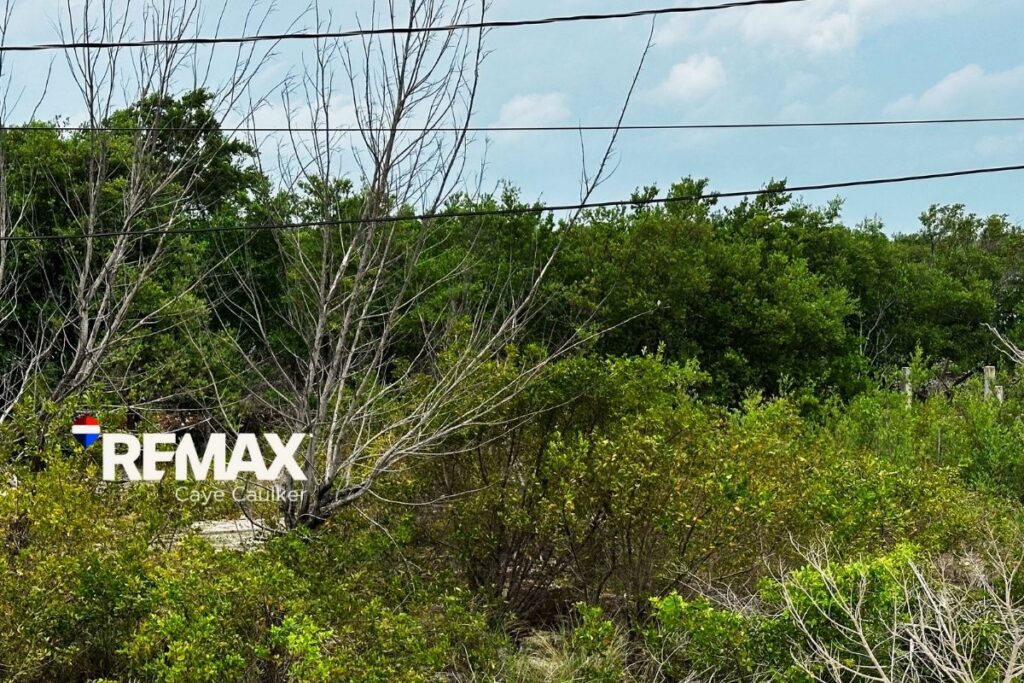 Land for sale in Caye Caulker
