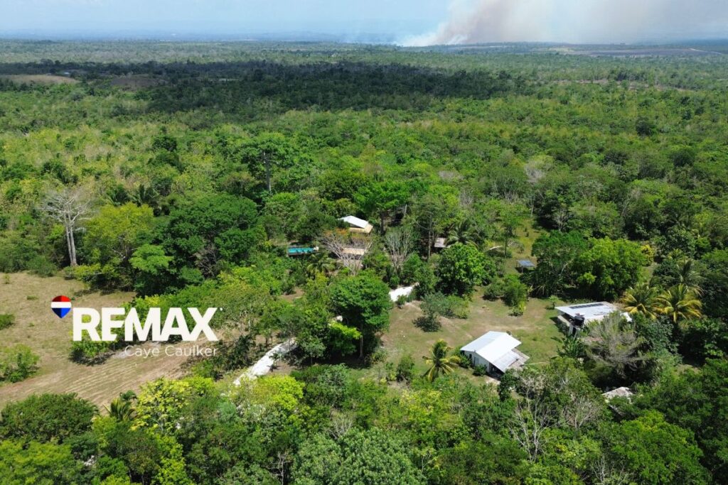 Belize jungle real estate near Spanish Lookout