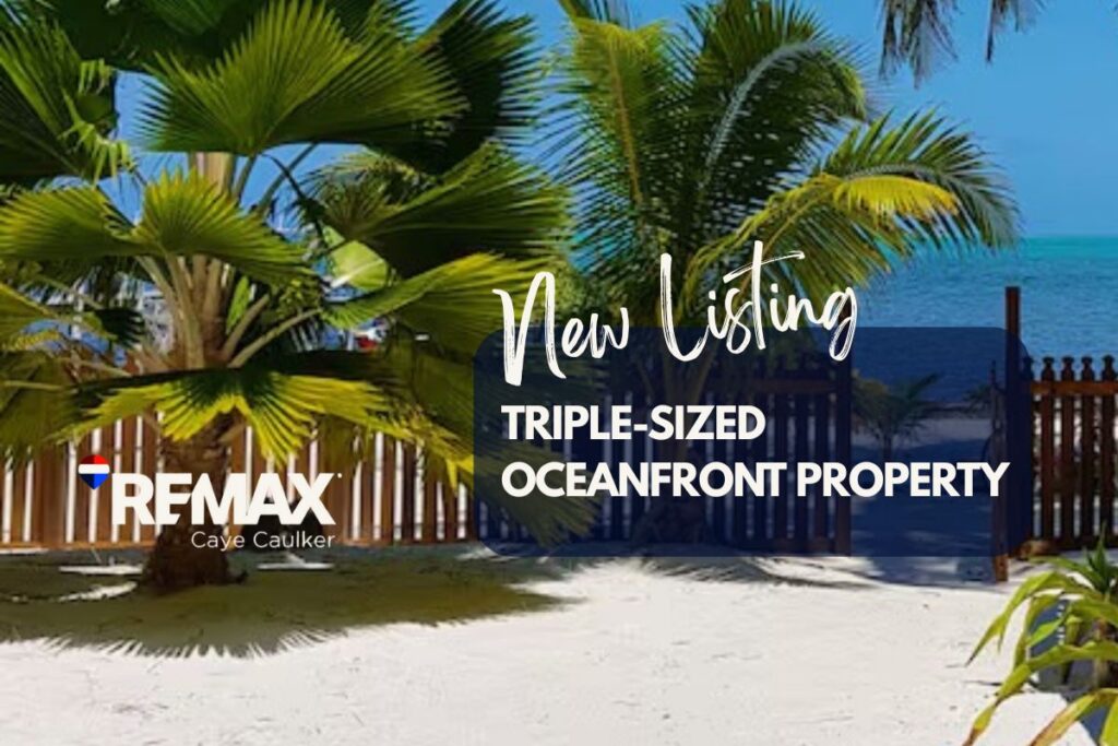 Caye Caulker Oceanfront Investment