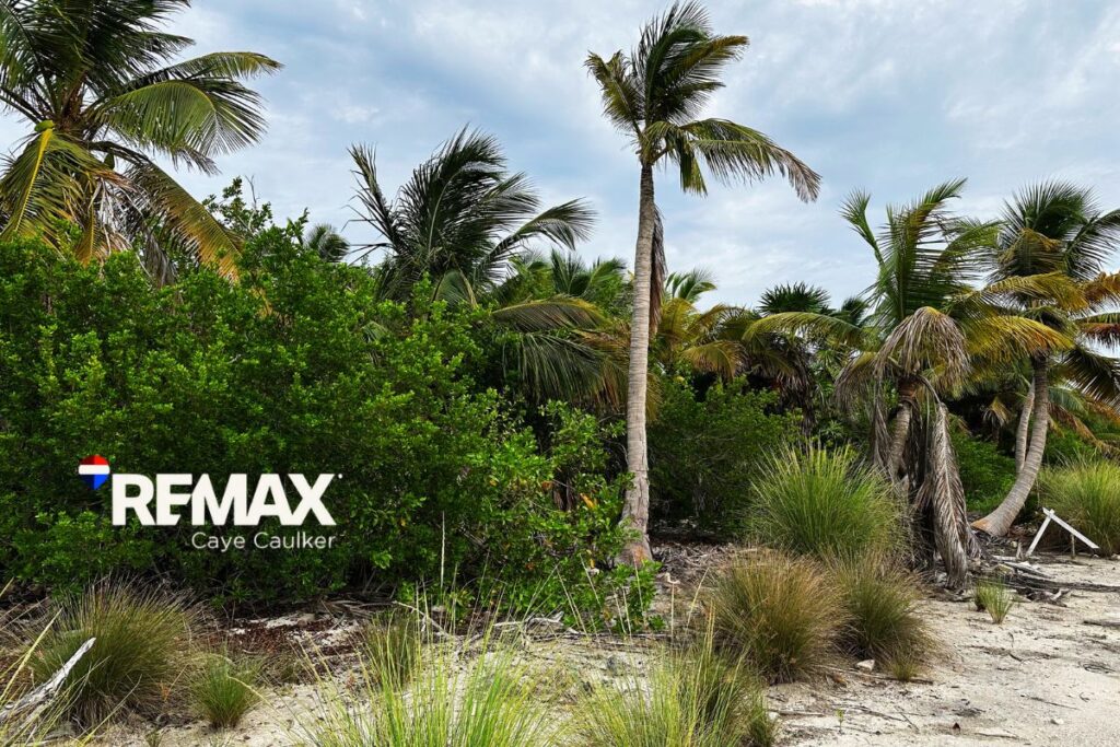 Oceanview Lot on North Caye Caulker for sale