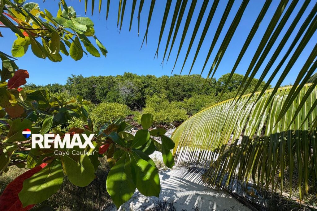 Oversized off-grid lot for sale in Mayan Sunrise, Caye Caulker