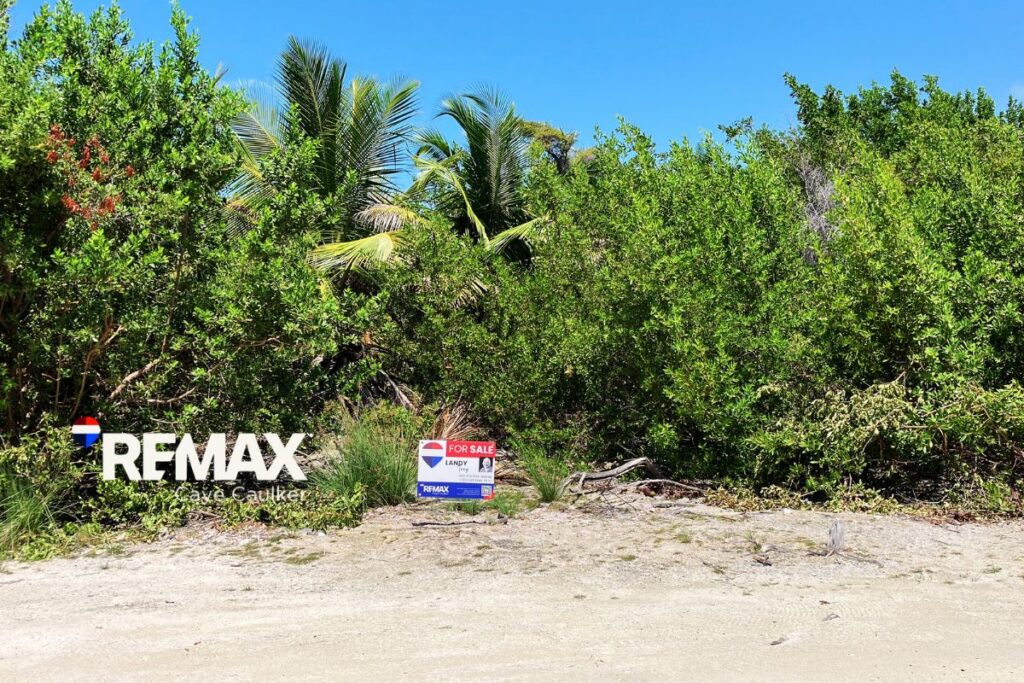 View of parcel 1211 in Caye Caulker