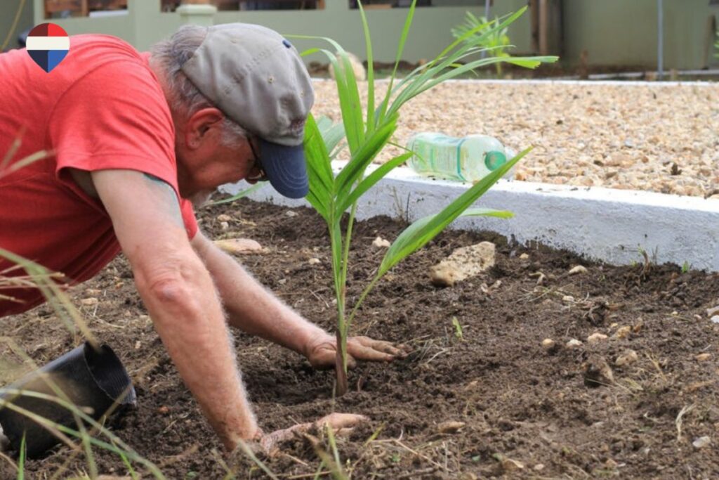 Caretaker maintaining tropical property in Belize