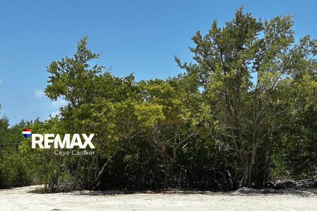 Lot 1534 in Caye Caulker, Belize for Sale